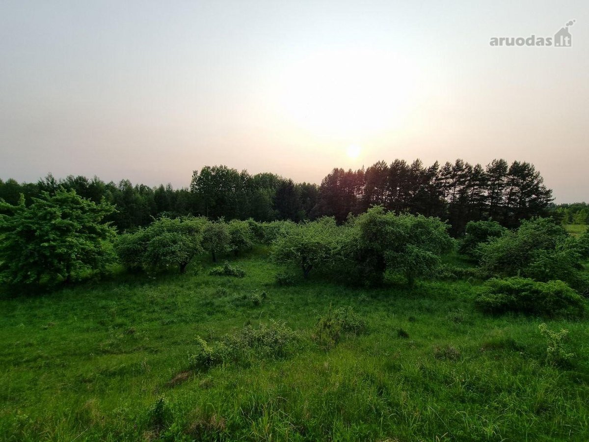 Parduodama Sodyba Prie Apvardų Ežero – - nuotraukos Nr. 12