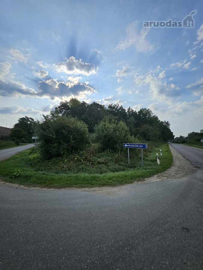 Vaizdingoje vietoje, šalia Nevėžio upės, - nuotraukos Nr. 8