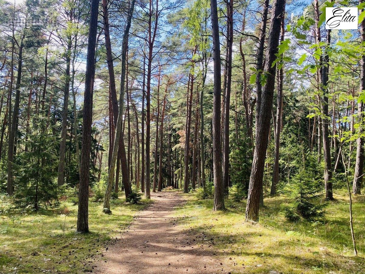 ** Giruliuose Parduodamas Nepilnai Įrengtas - nuotraukos Nr. 30