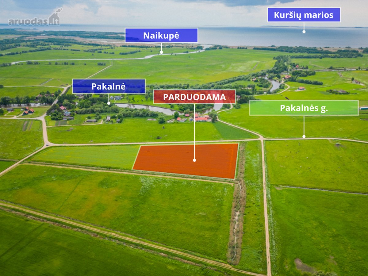 Pakalnės kaime parduodamas tvarkingas, 2,08