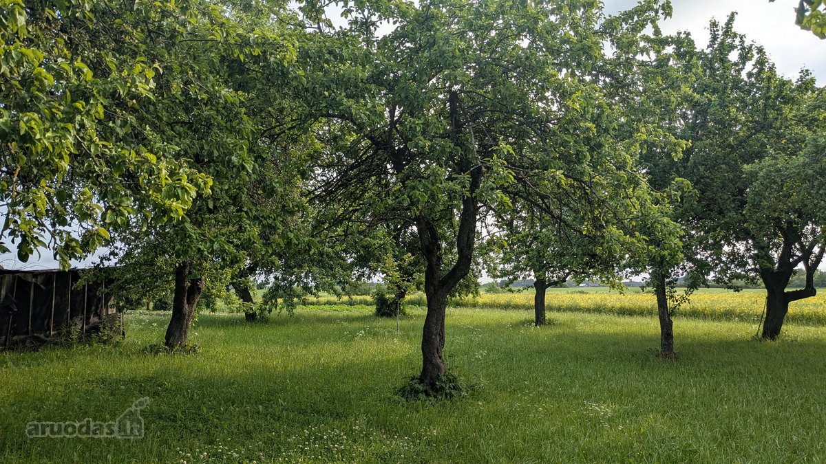 Vos už 40 km nuo Vilniaus, privažiavimas - nuotraukos Nr. 11