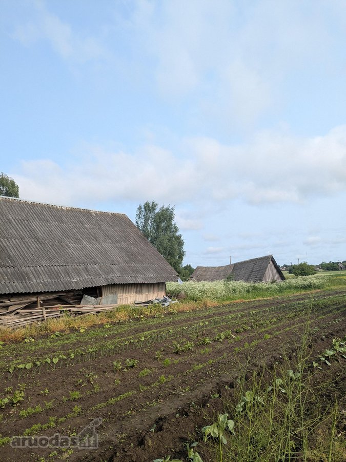 Vos už 40 km nuo Vilniaus, privažiavimas - nuotraukos Nr. 16