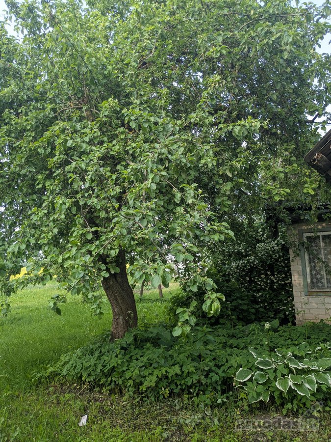 Vos už 40 km nuo Vilniaus, privažiavimas - nuotraukos Nr. 18