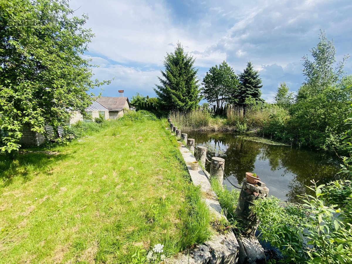 Išskirtinis Pasiūlymas Gamtos Ir Ramybės - nuotraukos Nr. 13
