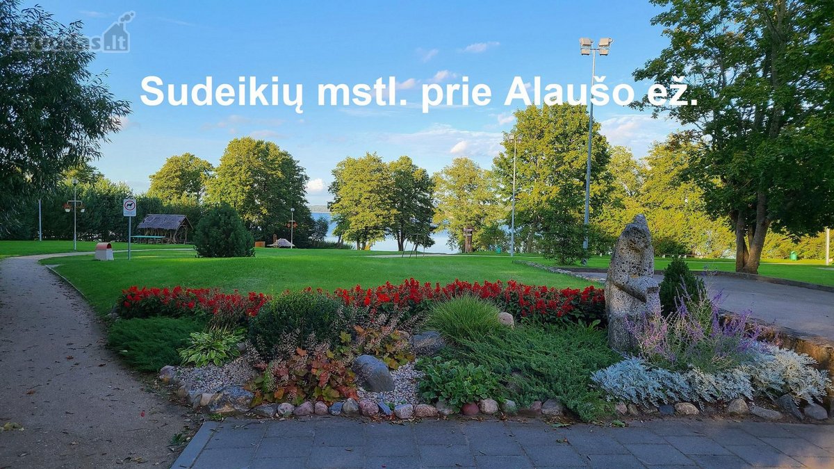 Parduodamas 2.15 ha sklypas šalia didelio - nuotraukos Nr. 4
