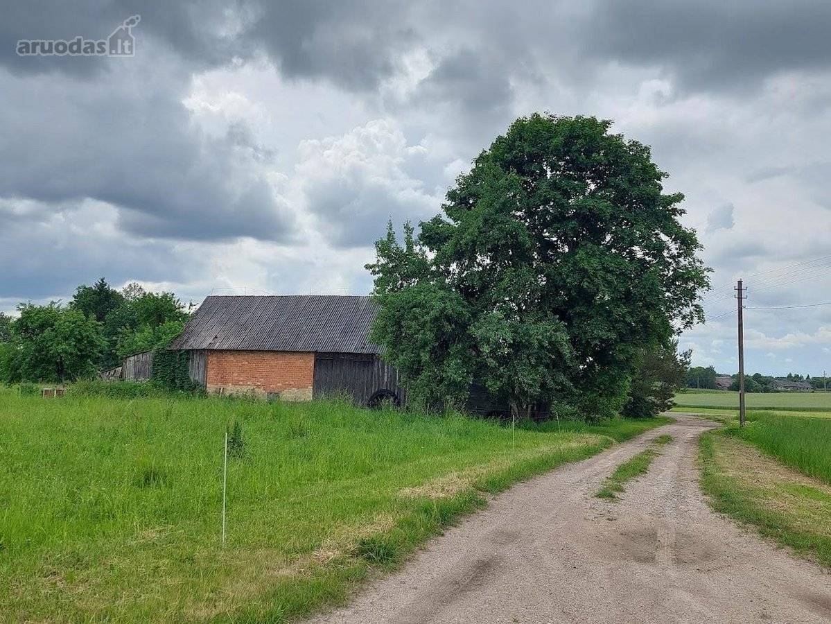 Parduodama Sodyba Su Žeme Ir Mišku Šilalės - nuotraukos Nr. 4