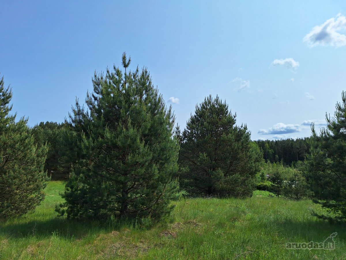 Parduodamas 1,24 ha ploto žemės ūkio