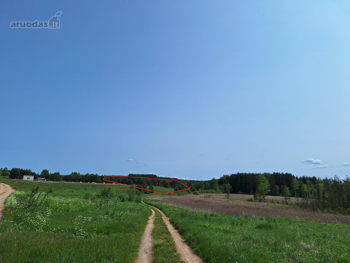 Parduodamas 1,24 ha ploto žemės ūkio - nuotraukos Nr. 5