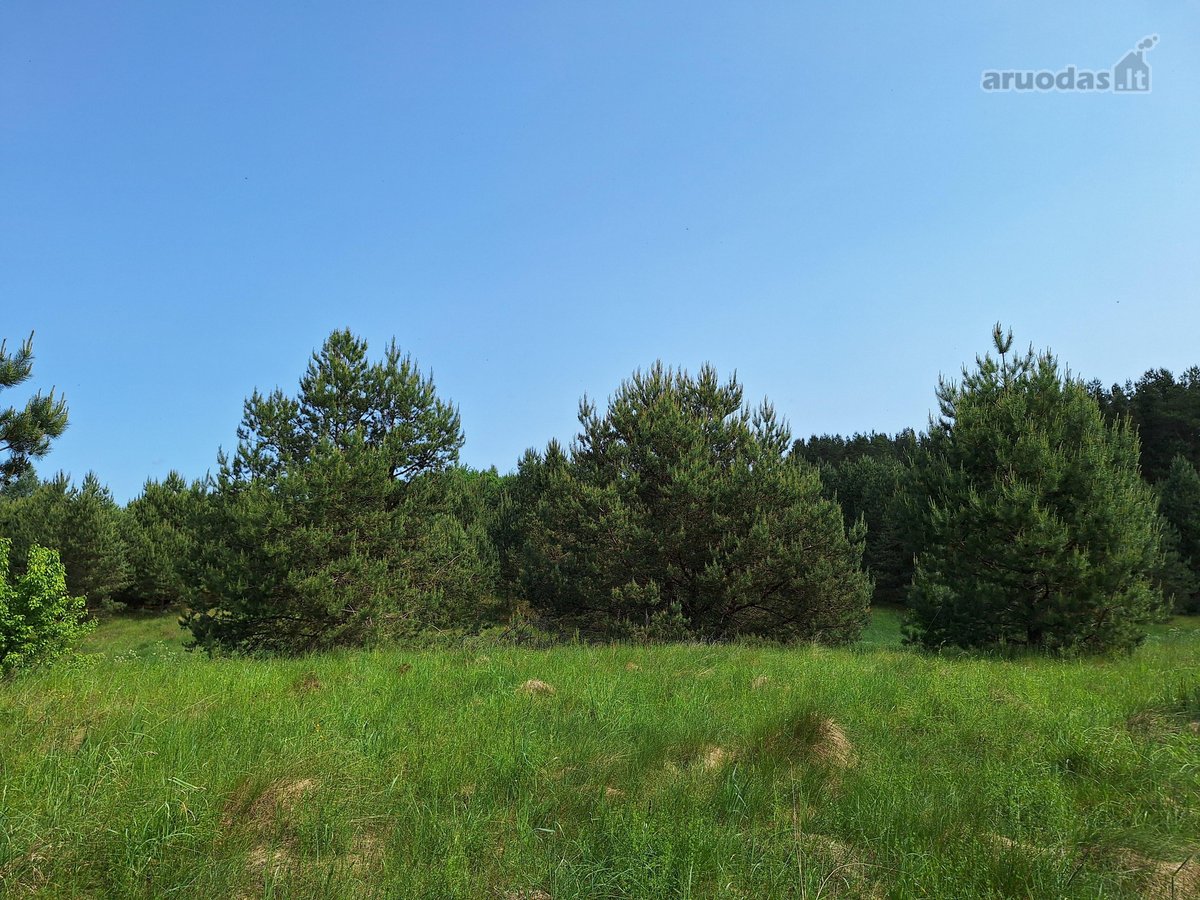Parduodamas 1,24 ha ploto žemės ūkio - nuotraukos Nr. 11