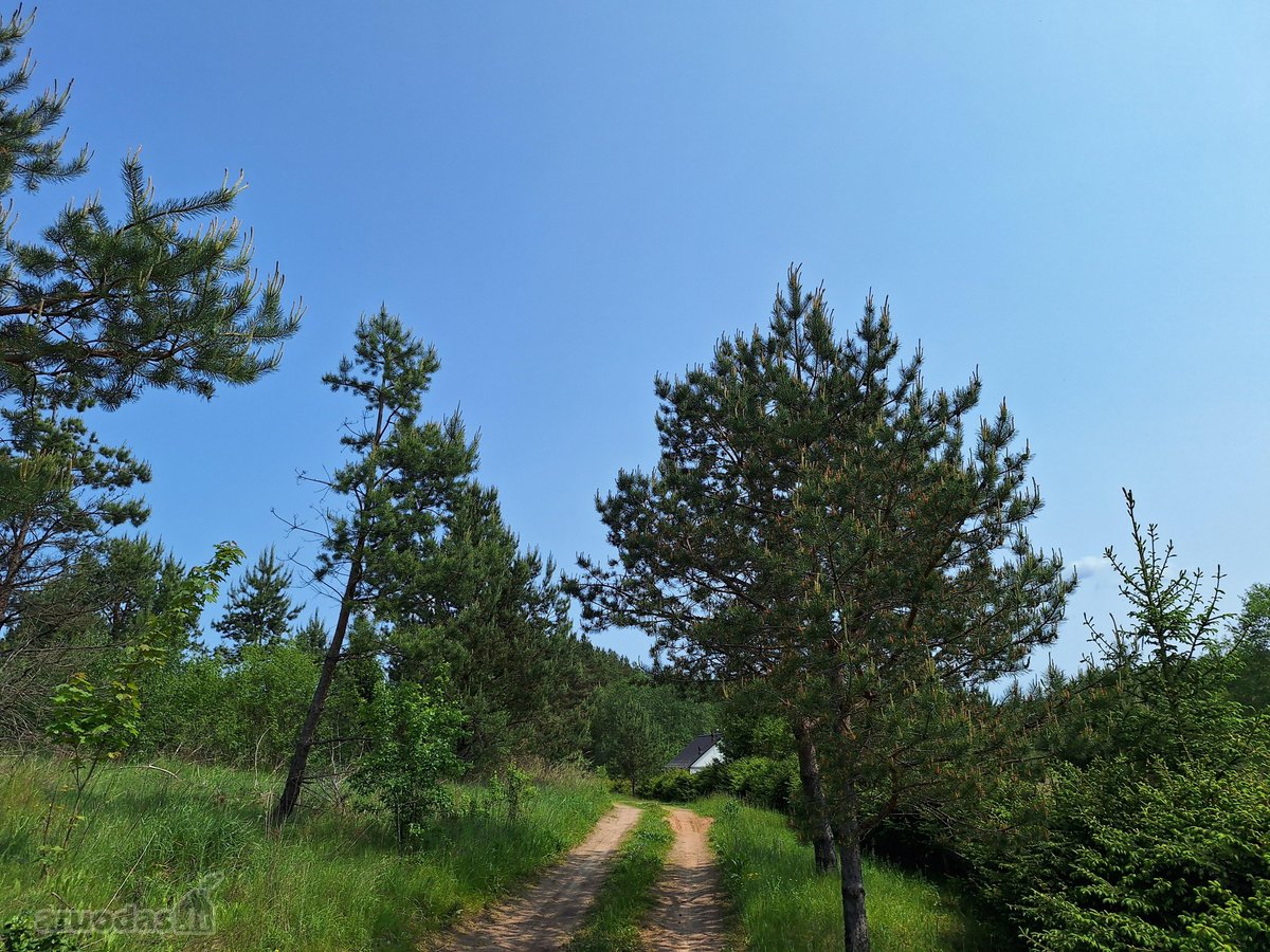 Parduodamas 1,24 ha ploto žemės ūkio - nuotraukos Nr. 6