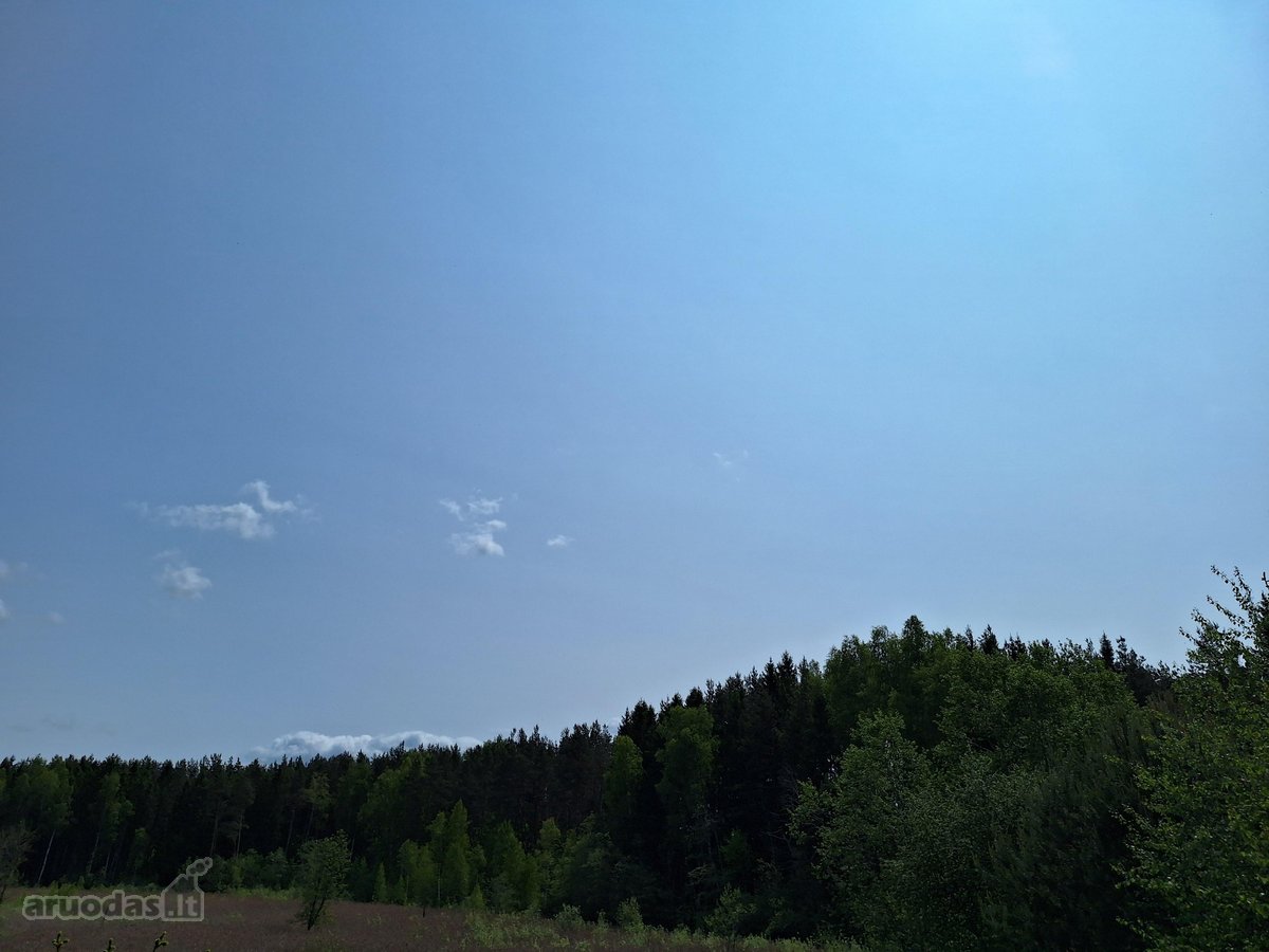 Parduodamas 1,24 ha ploto žemės ūkio - nuotraukos Nr. 17