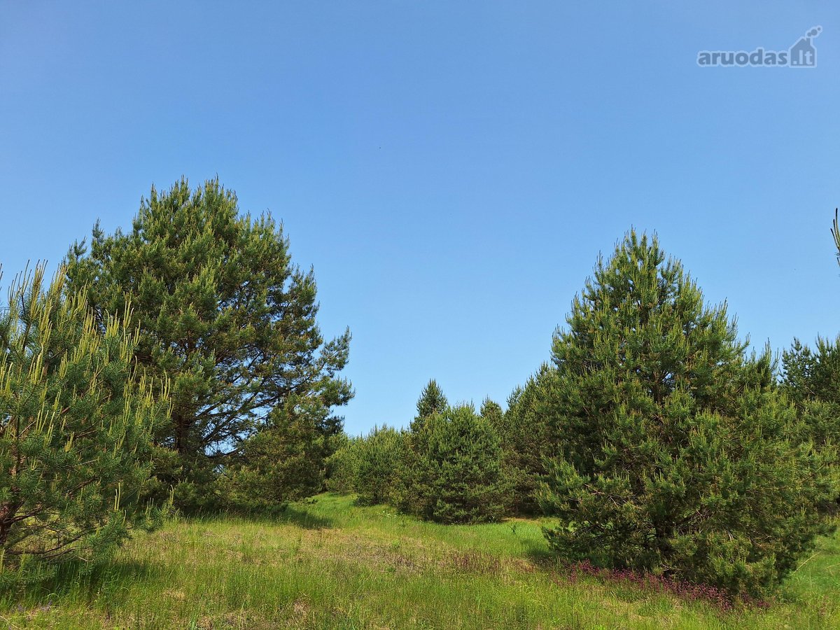 Parduodamas 1,24 ha ploto žemės ūkio - nuotraukos Nr. 8