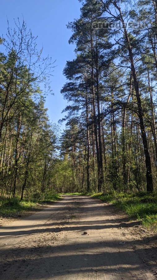 Loftas Prie Miško  Raw Erdvė Jūsų Vizijai - nuotraukos Nr. 22