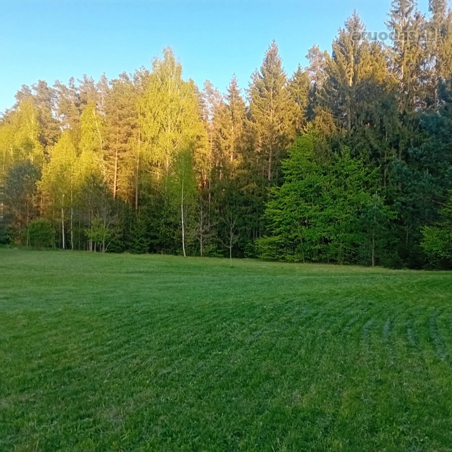 Ši nuostabi pamiškė, su išlikusiais senais - nuotraukos Nr. 7
