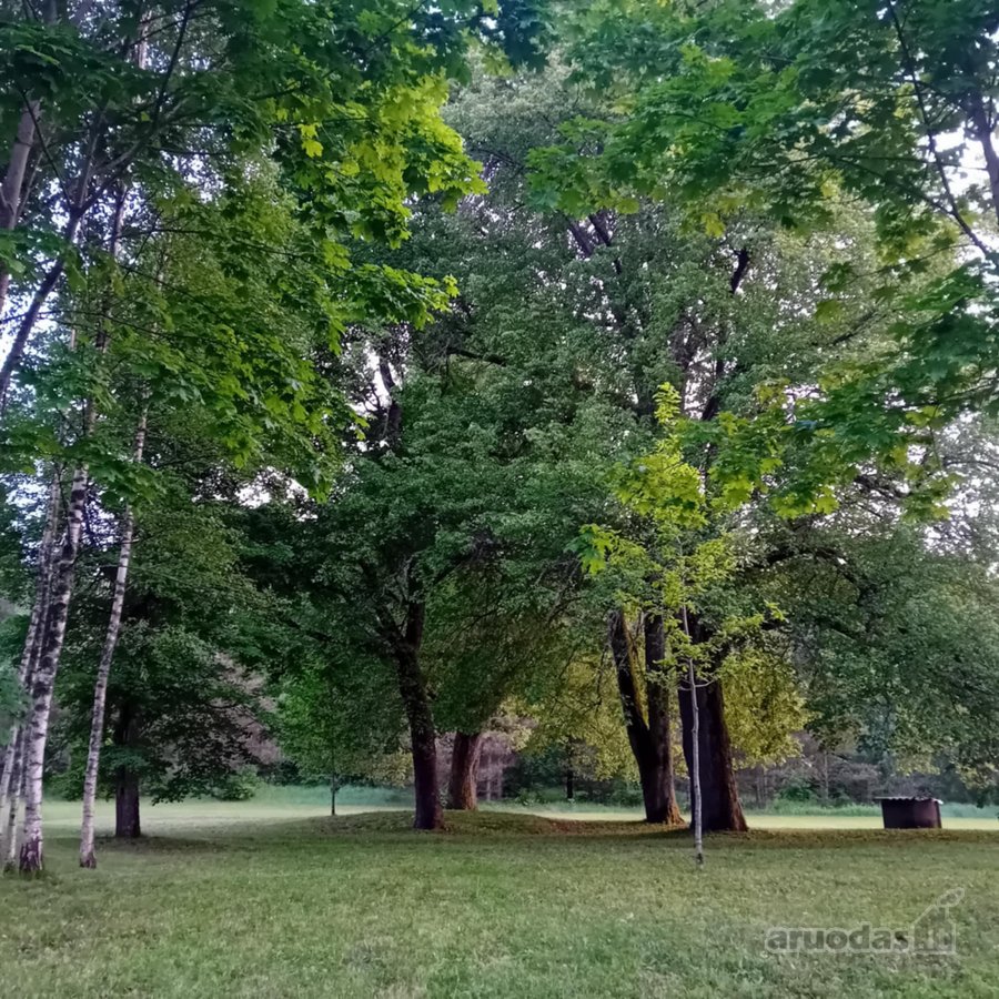 Ši nuostabi pamiškė, su išlikusiais senais - nuotraukos Nr. 8