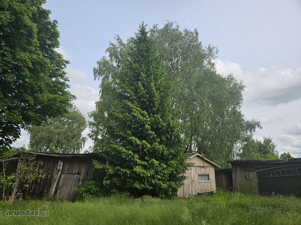 Skubiai parduodu du butus Pagėgiuose, galima - nuotraukos Nr. 18