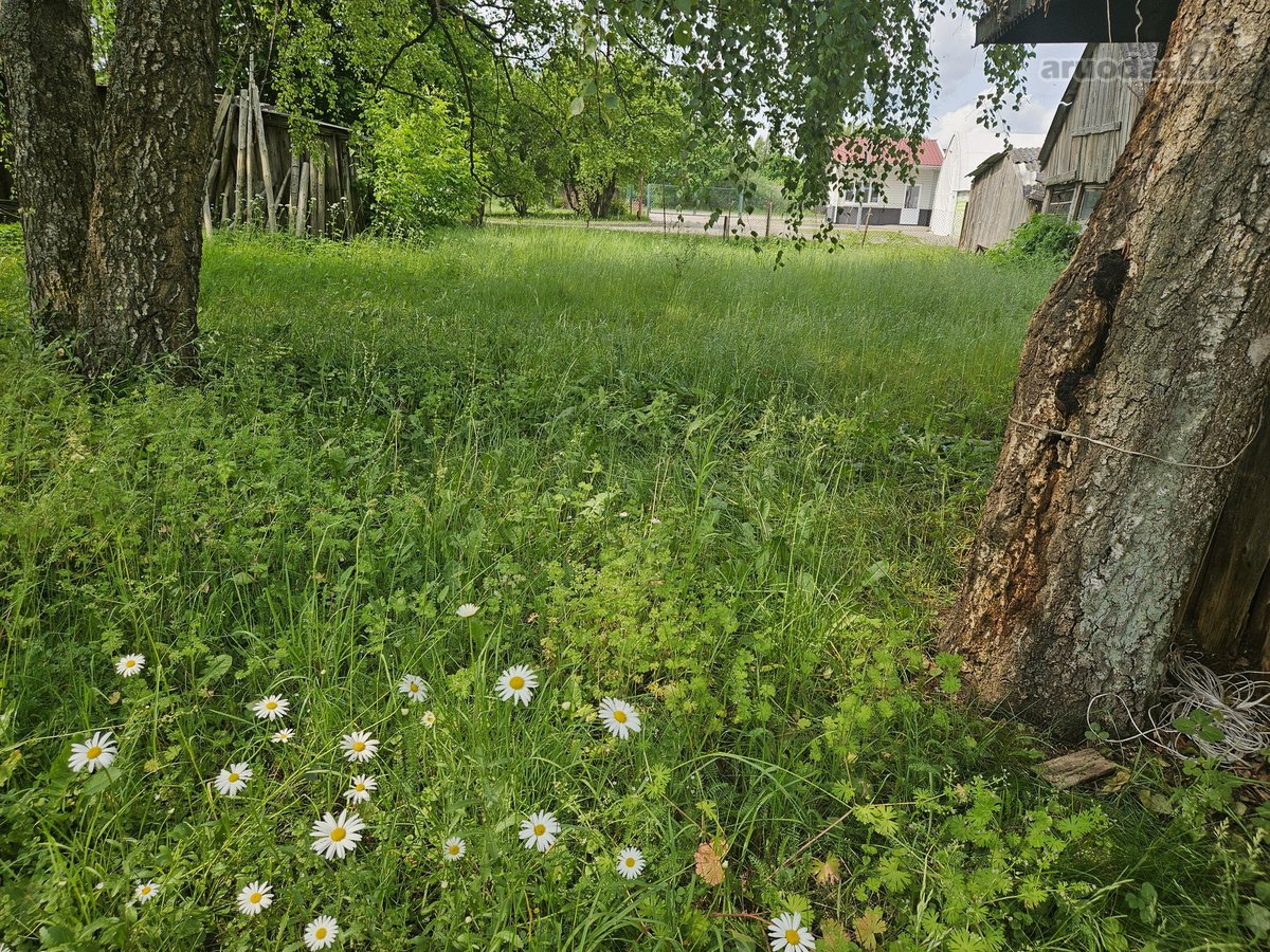 Skubiai parduodu du butus Pagėgiuose, galima - nuotraukos Nr. 36