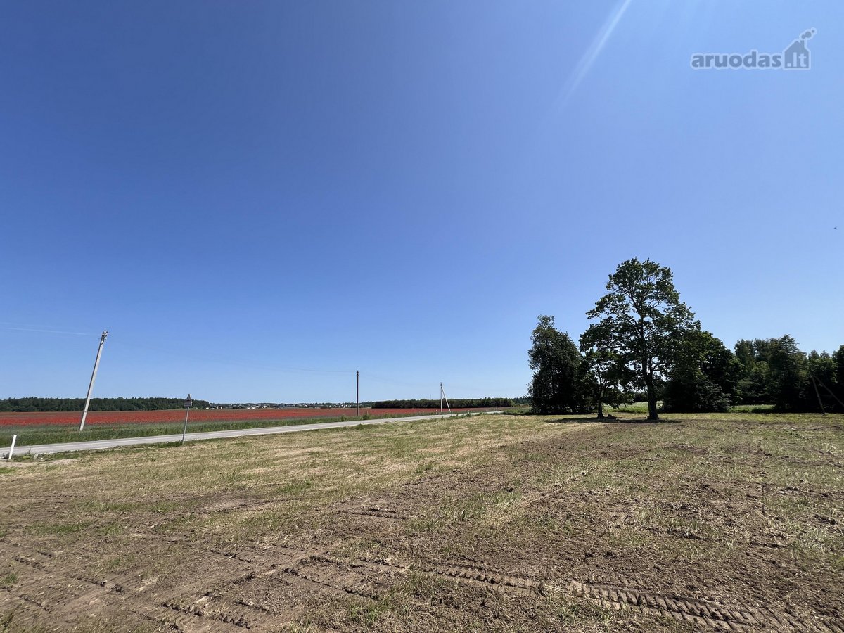 Parduodu sklypą 90 arų, paskirtis - - nuotraukos Nr. 4
