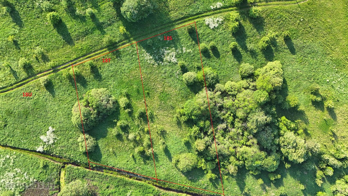 Parduodami namų valdos sklypai Kalnų g. 18, - nuotraukos Nr. 5