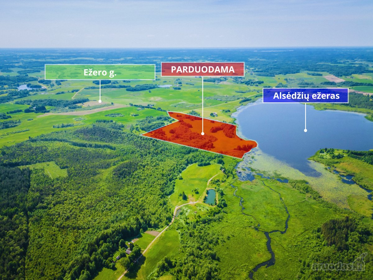 Parduodamas 23,56 ha žemės ūkio paskirties - nuotraukos Nr. 4