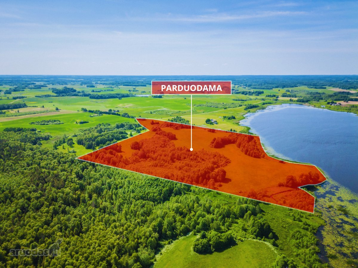 Parduodamas 23,56 ha žemės ūkio paskirties - nuotraukos Nr. 6