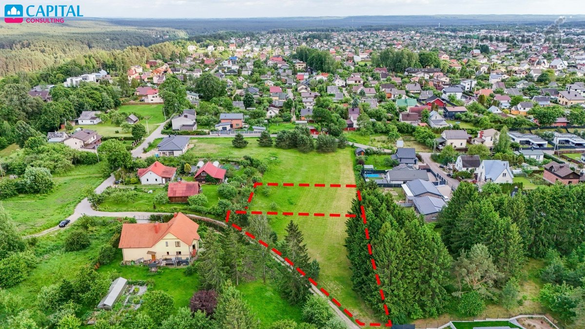 Balsiuose, Šalia Raudondvario Miško Ir Neries - nuotraukos Nr. 5