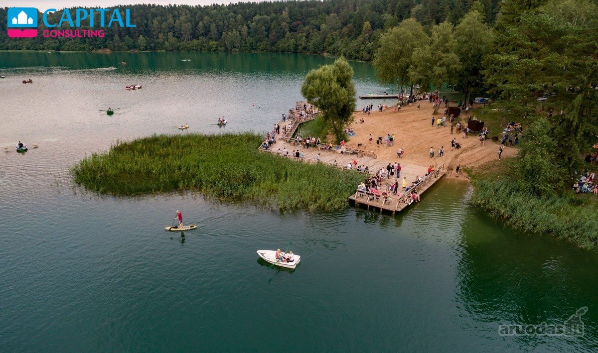 Balsiuose, Šalia Raudondvario Miško Ir Neries - nuotraukos Nr. 13