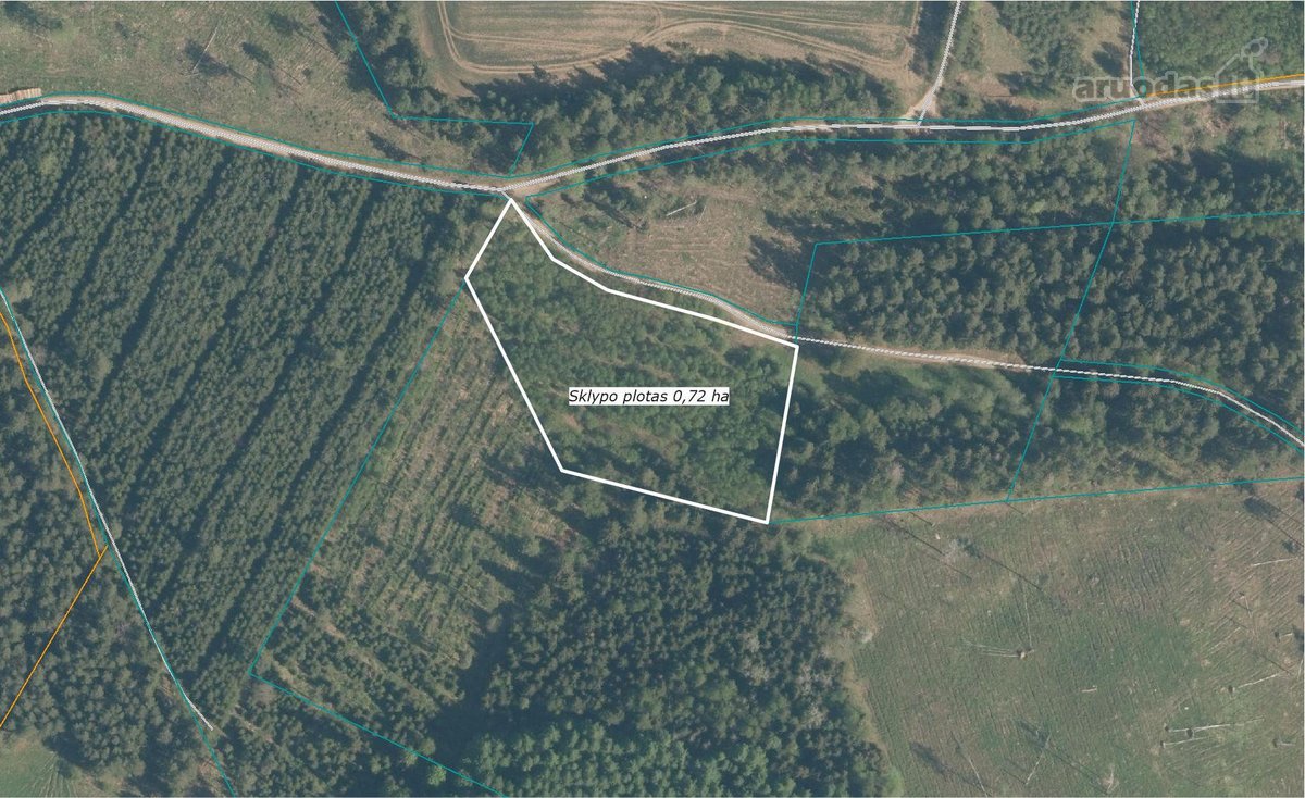 Nauja kaina! Parduodami trys sklypai 10,81 ha - nuotraukos Nr. 7