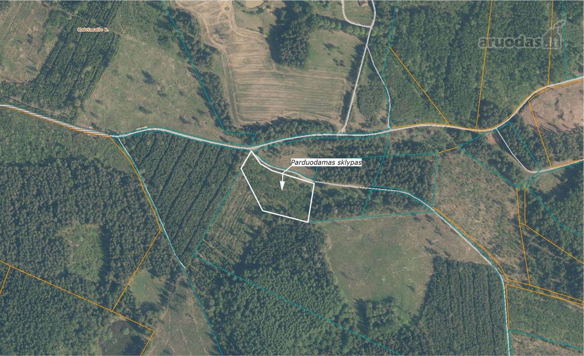 Nauja kaina! Parduodami trys sklypai 10,81 ha - nuotraukos Nr. 9