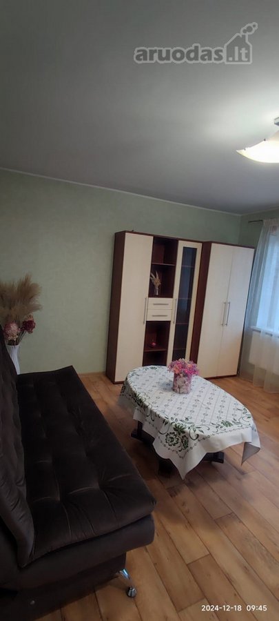 Išnuomojamas tvarkingas dviejų kambarių butas - nuotraukos Nr. 4