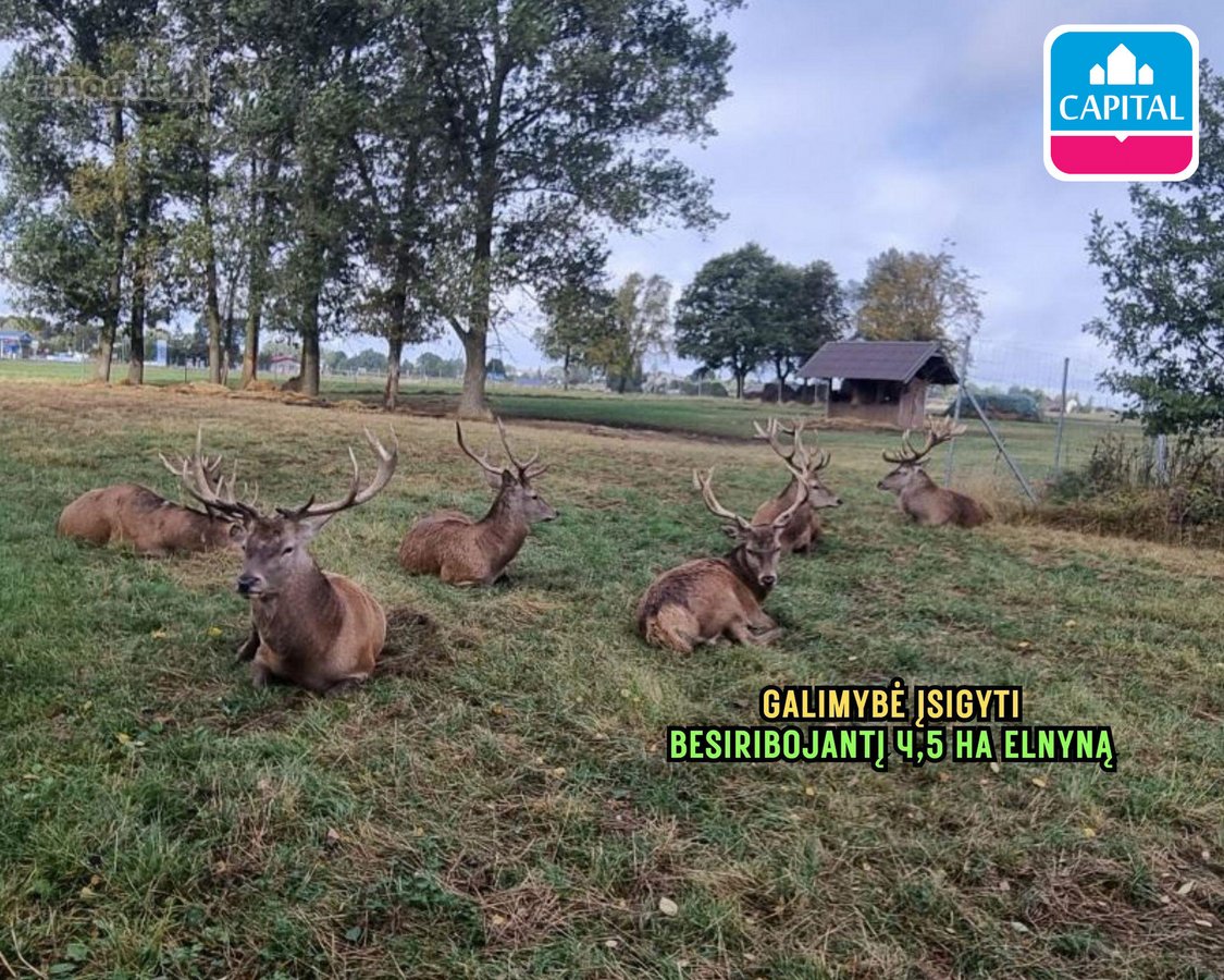 Parduodama Kaimo Turizmo Sodyba „milkintynė“ - nuotraukos Nr. 42