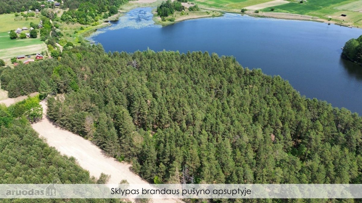Parduodamas išskirtinis 1,5 ha sklypas - nuotraukos Nr. 4