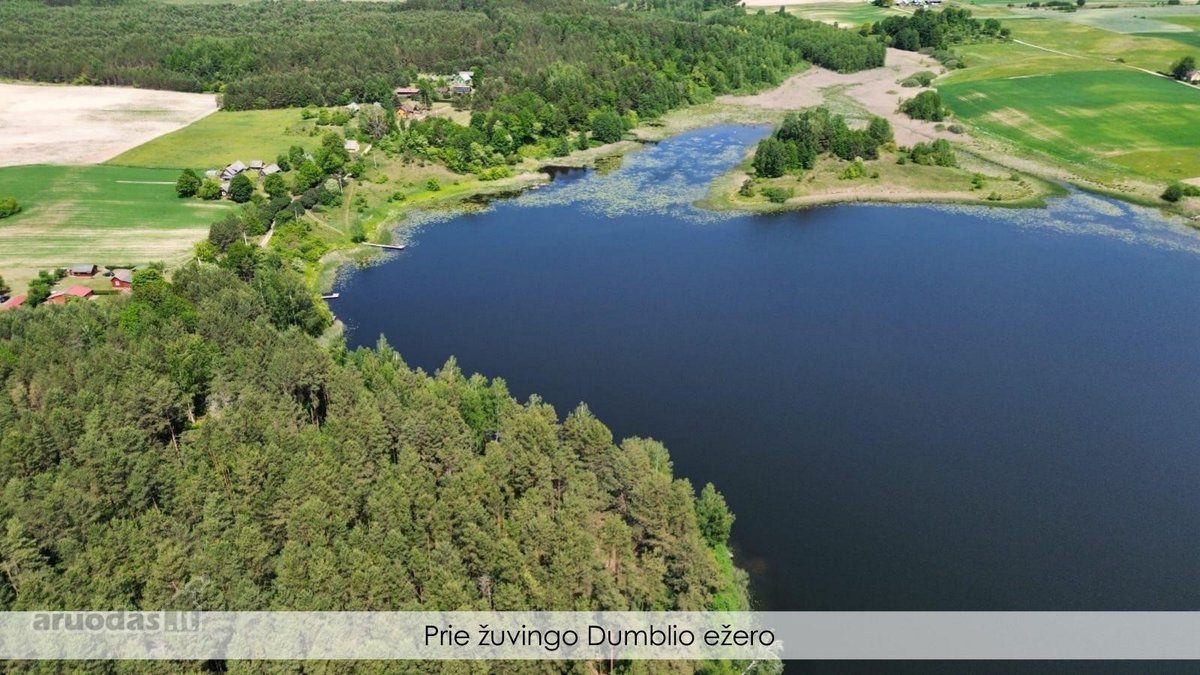 Parduodamas išskirtinis 1,5 ha sklypas - nuotraukos Nr. 5