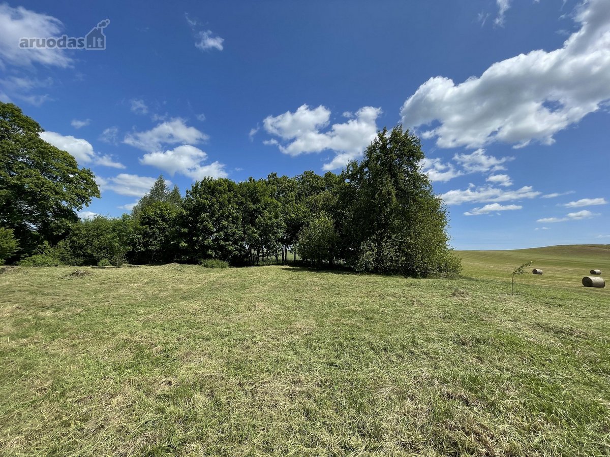 Parduodamas 28 Arų Namų Valdos Sklypas – - nuotraukos Nr. 3