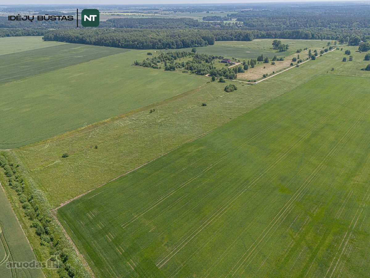 Parduodami namų valdos sklypai Klaipėdos r., - nuotraukos Nr. 6