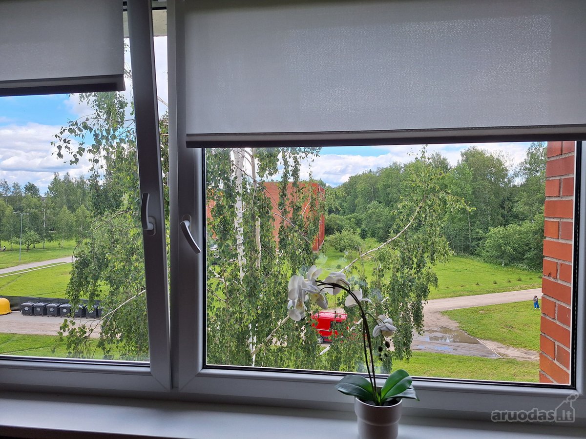 Objekto nuotrauka