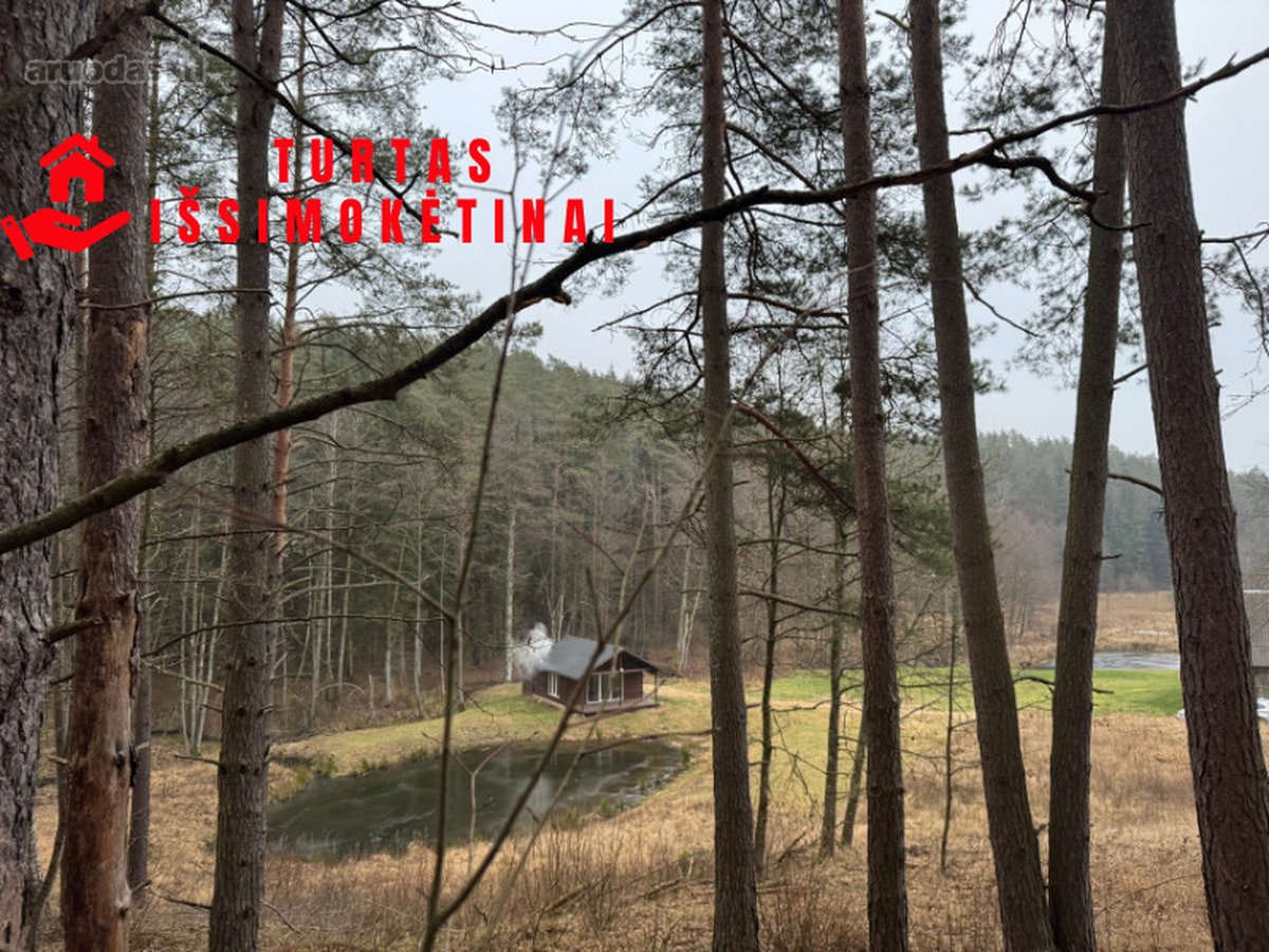 1,56ha kraštinis sklypas(1/3 miškas)unikalus