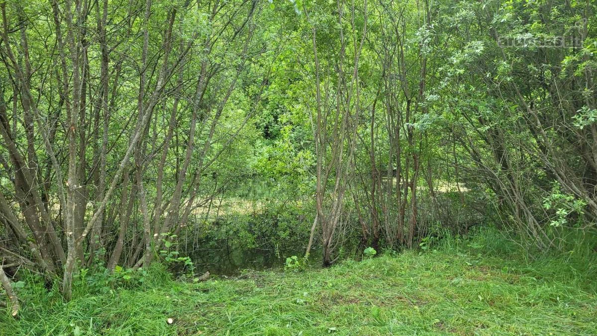 Parduodami du po 7.5aro vienas šalia kito - nuotraukos Nr. 5