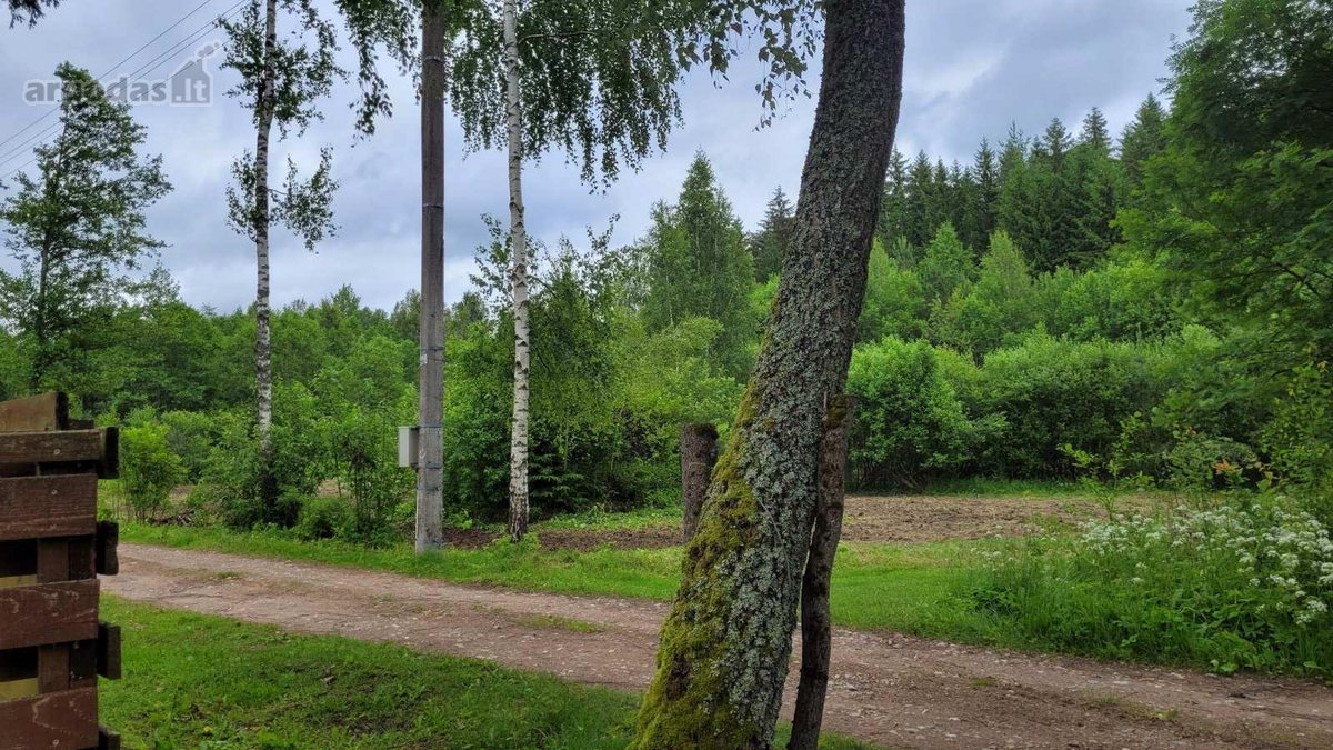 Parduodami du po 7.5aro vienas šalia kito - nuotraukos Nr. 7