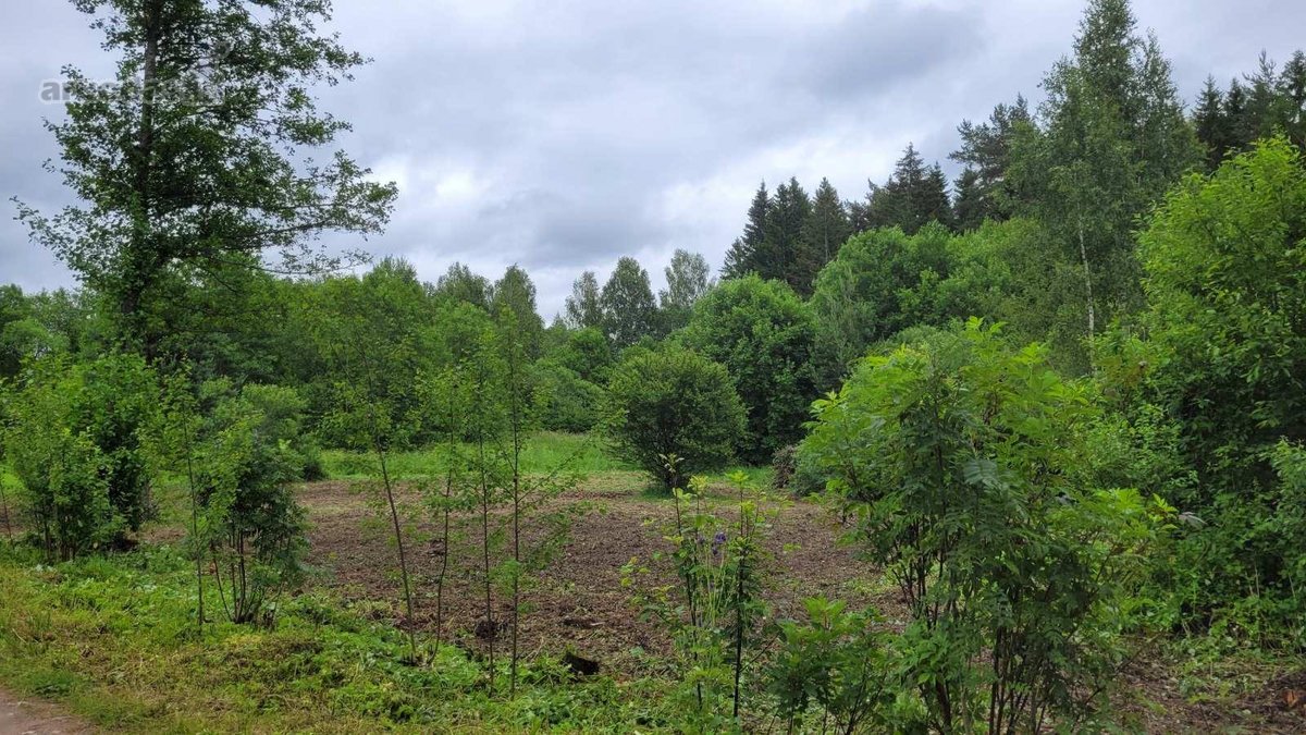 Parduodami du po 7.5aro vienas šalia kito - nuotraukos Nr. 14