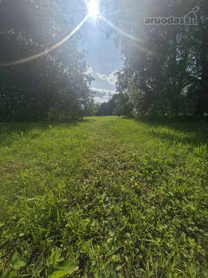 Vilniaus m. sav., Vilniaus m., Antakalnis - nuotraukos Nr. 4