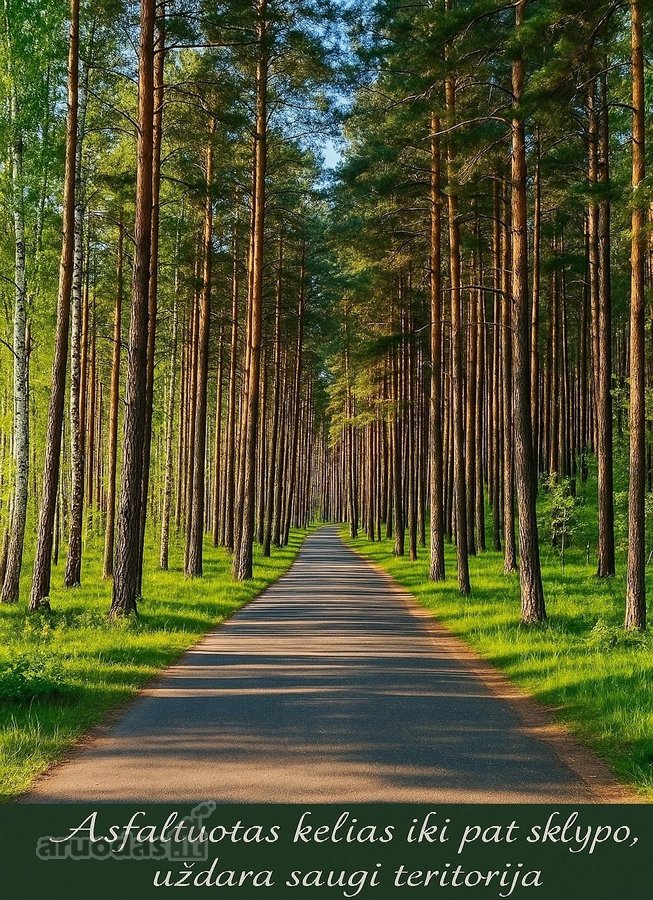 Išskirtinis namas prestižinėje vietoje – tarp - nuotraukos Nr. 11