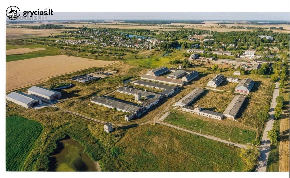 Kėdainių rajone, Dotnuvoje, parduodamas buvęs