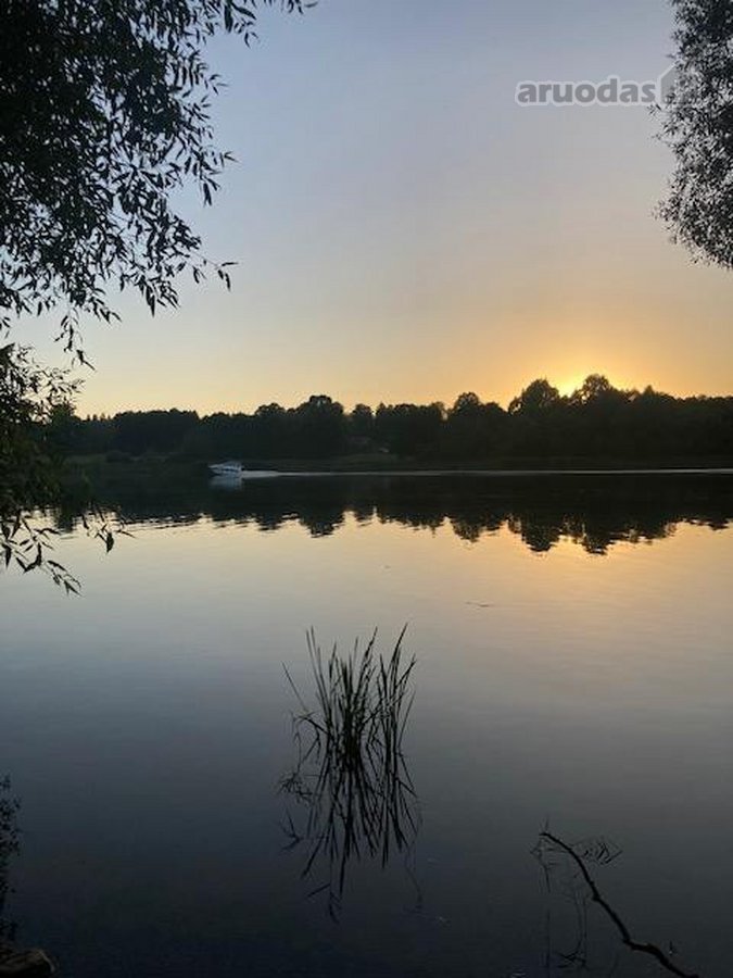 Nemuno Kilpų Regioniniame Parke Ant Upės - nuotraukos Nr. 5