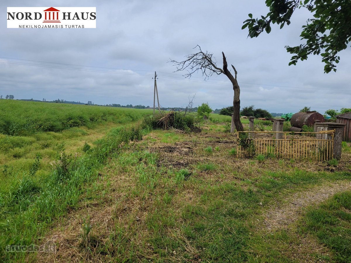 Unikaliame gamtos kampelyje, Jokšų kaime,6 km - nuotraukos Nr. 13