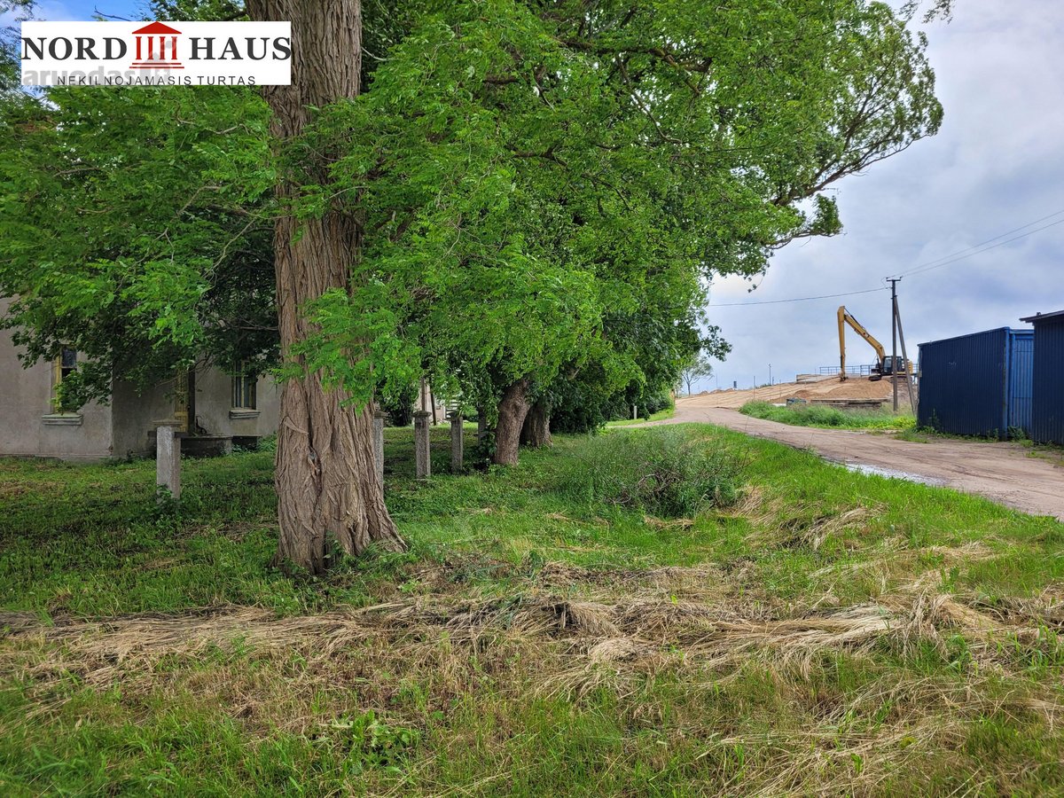 Unikaliame gamtos kampelyje, Jokšų kaime,6 km - nuotraukos Nr. 12
