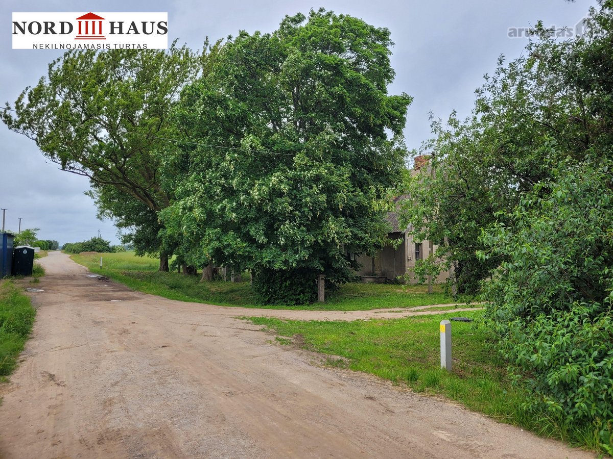 Unikaliame gamtos kampelyje, Jokšų kaime,6 km - nuotraukos Nr. 14