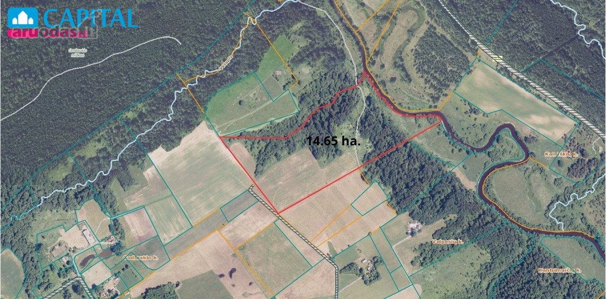 Vaizdingoje Vietoje, Šalia Raseinių - nuotraukos Nr. 3
