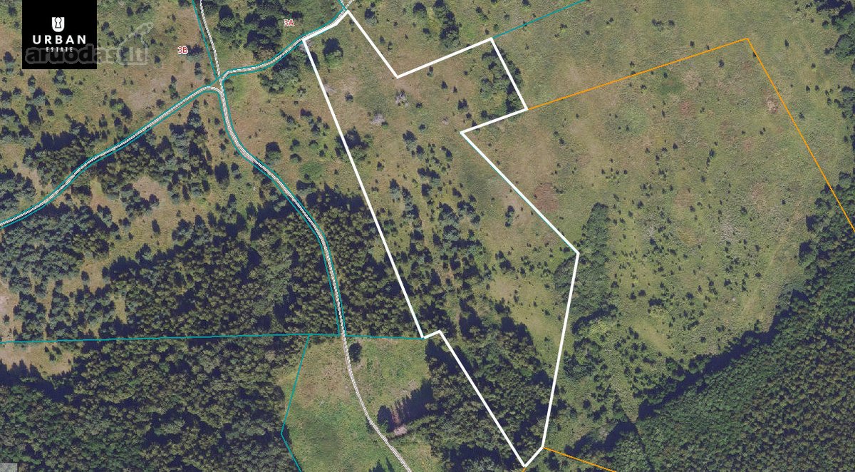 3.29 Ha Sklypas Jūsų Investicijai Vaizdingoje - nuotraukos Nr. 4