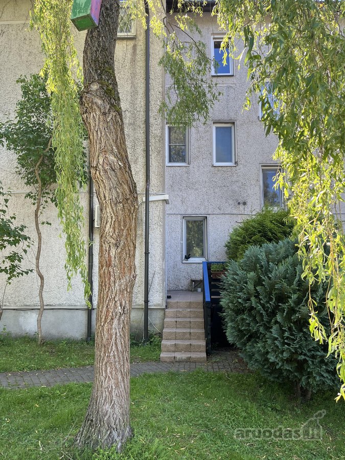 Parduodamas butas esantis šalia miško,